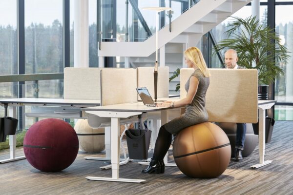 Office Ballz - Bilde 3